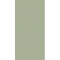 FEELINGS GREEN SCIANA REKT. 29,8X59,8 G.1